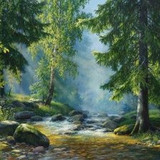 В еловом лесу