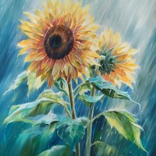 Подсолнухи под солнечным дождем