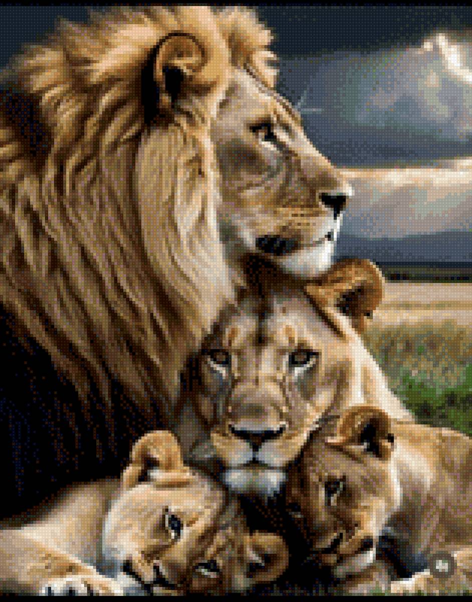 Семья львов - предпросмотр