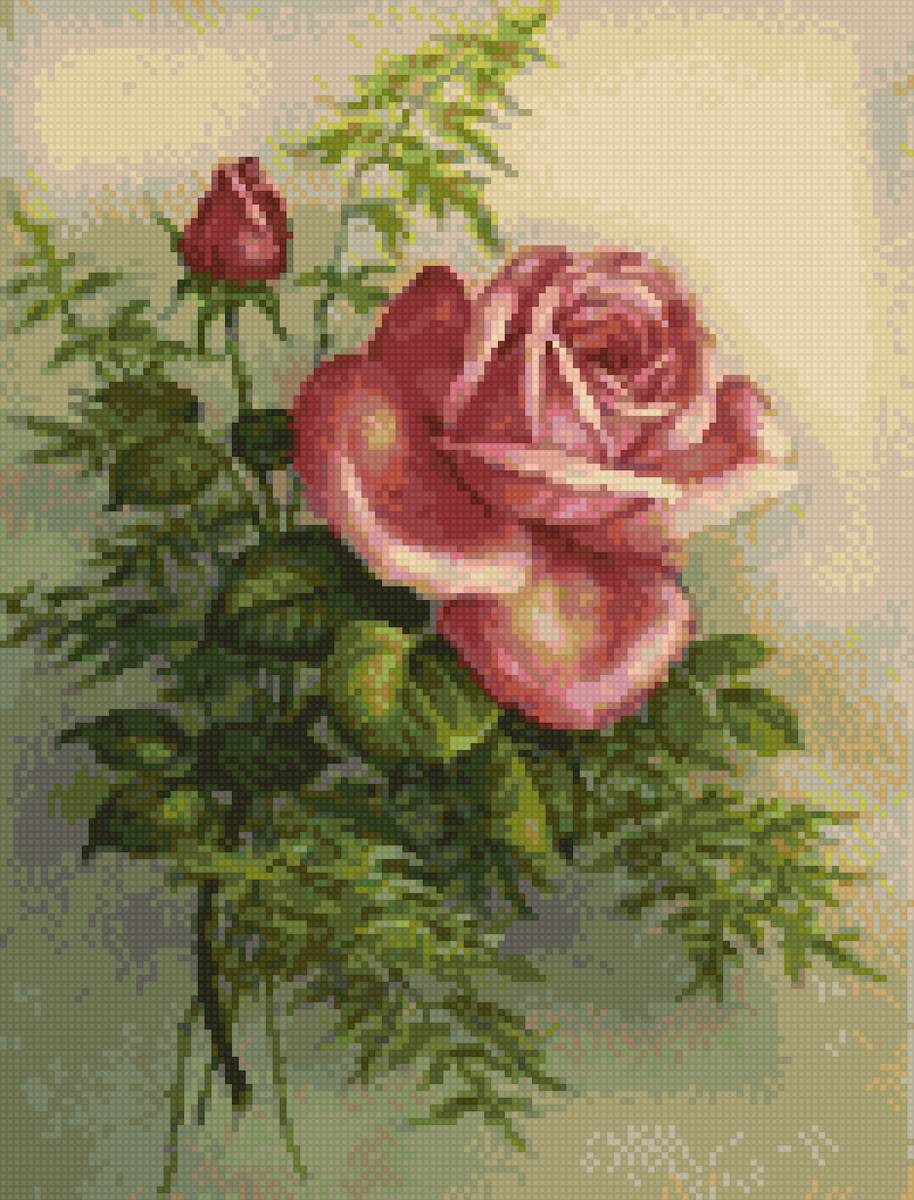 Botón y rosa - ternura - предпросмотр