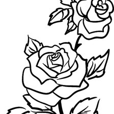 Схема вышивки «роза»