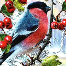 Схема вышивки «снегирь»