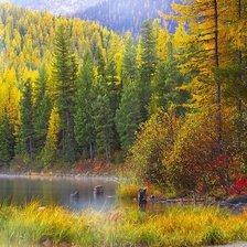 Схема вышивки «№2811565»