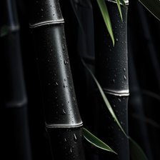 Схема вышивки «Чёрный бамбук»