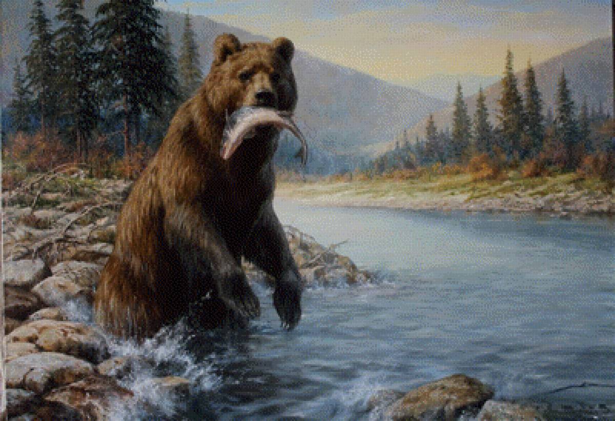 Медведица в реке - природа, пейзаж, животные, медведь - предпросмотр