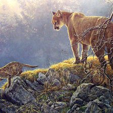 Схема вышивки «№2811806»