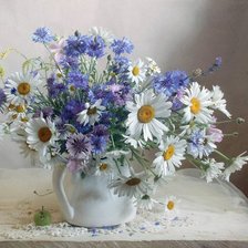 Схема вышивки «Васильки»