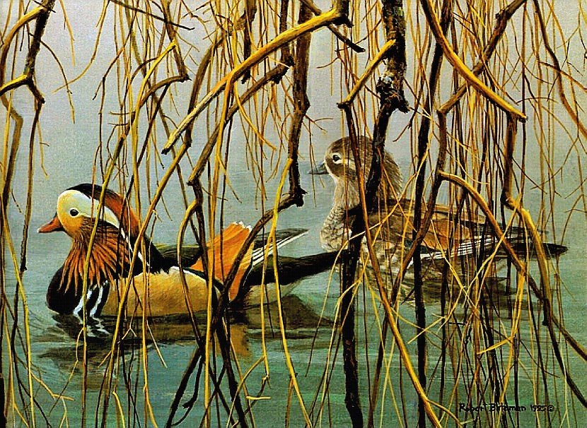 Мандаринки - роберт бейтман, птицы - оригинал