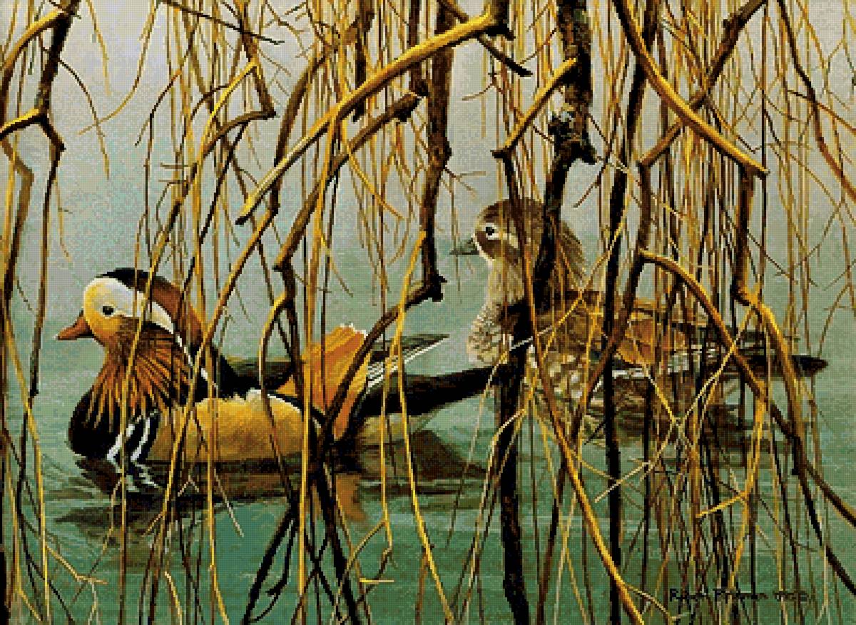 Мандаринки - роберт бейтман, птицы - предпросмотр