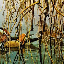 Схема вышивки «Мандаринки»