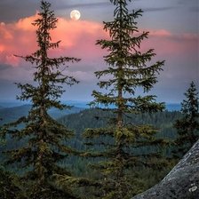 Схема вышивки «№2812102»