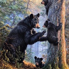 Схема вышивки «В лесу»