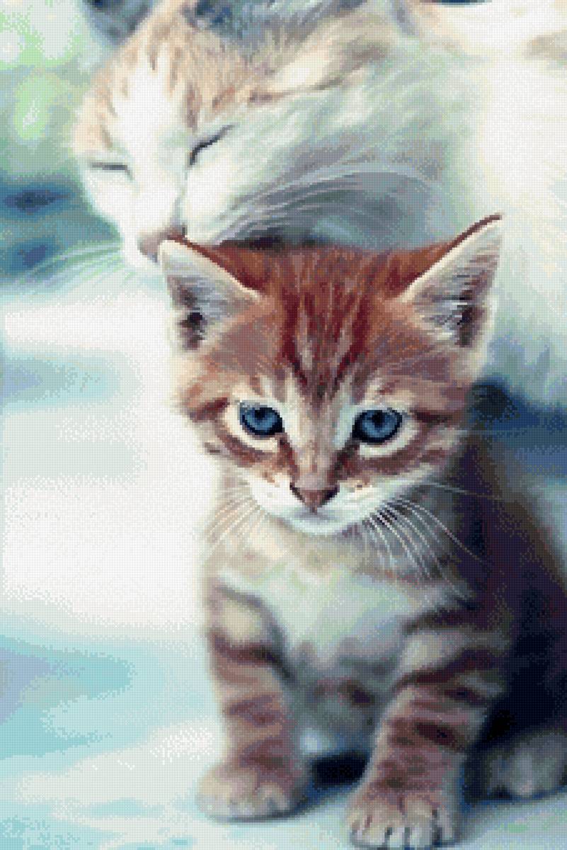 №2812630 - предпросмотр