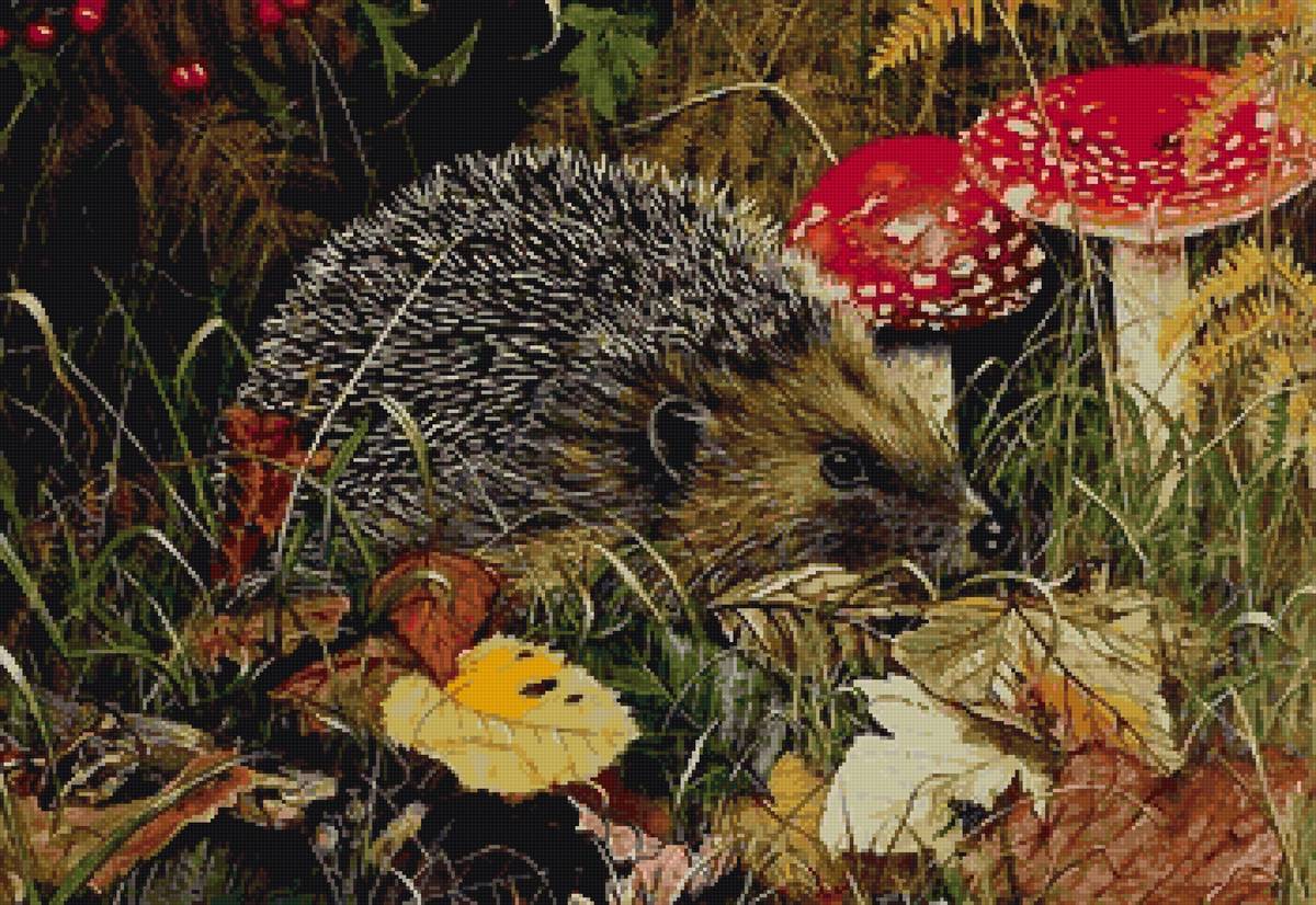 еж - предпросмотр