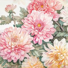 Схема вышивки «Хризантемы»