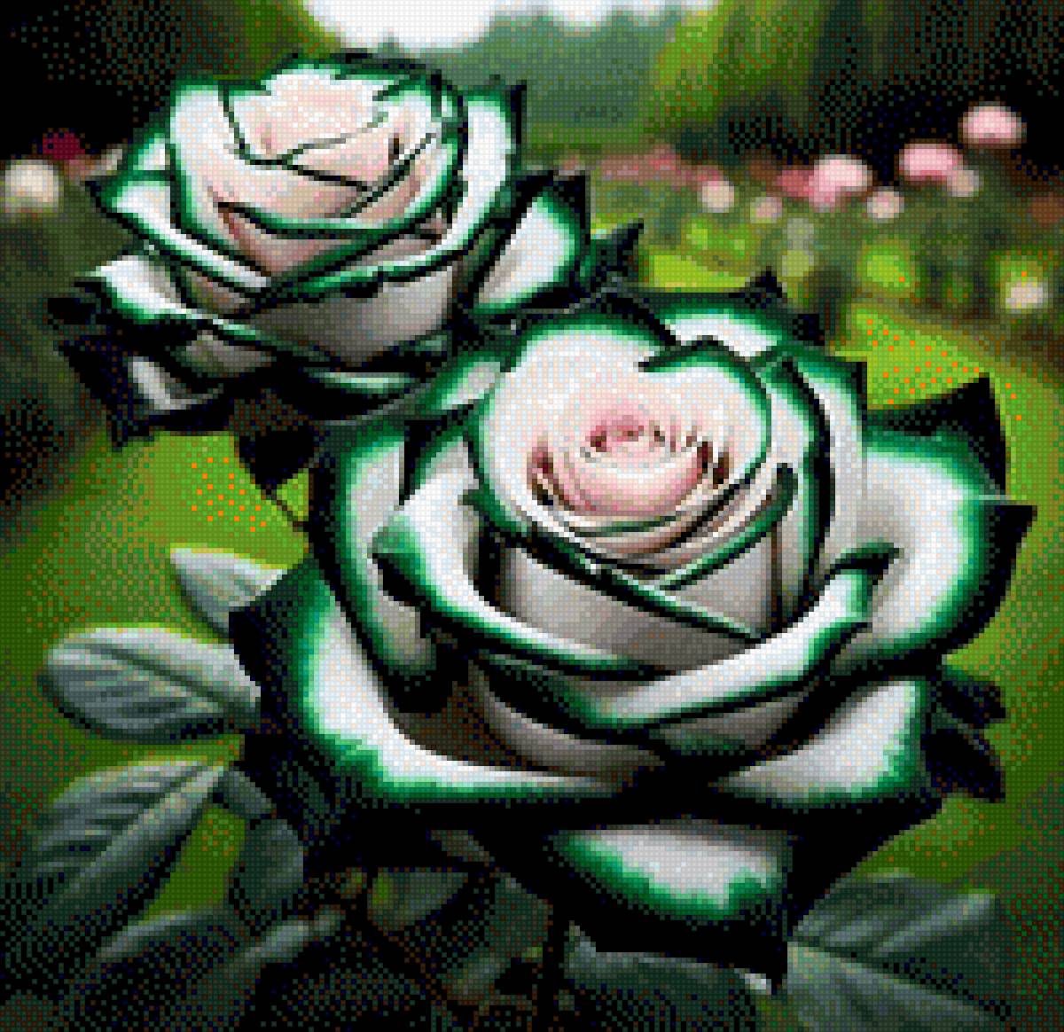 Роза - предпросмотр