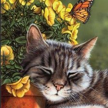 Схема вышивки «Котик»