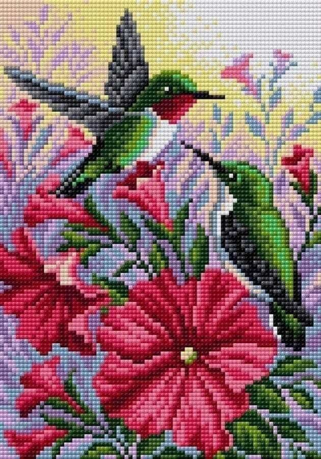 Colibri - alma de colibrí - оригинал