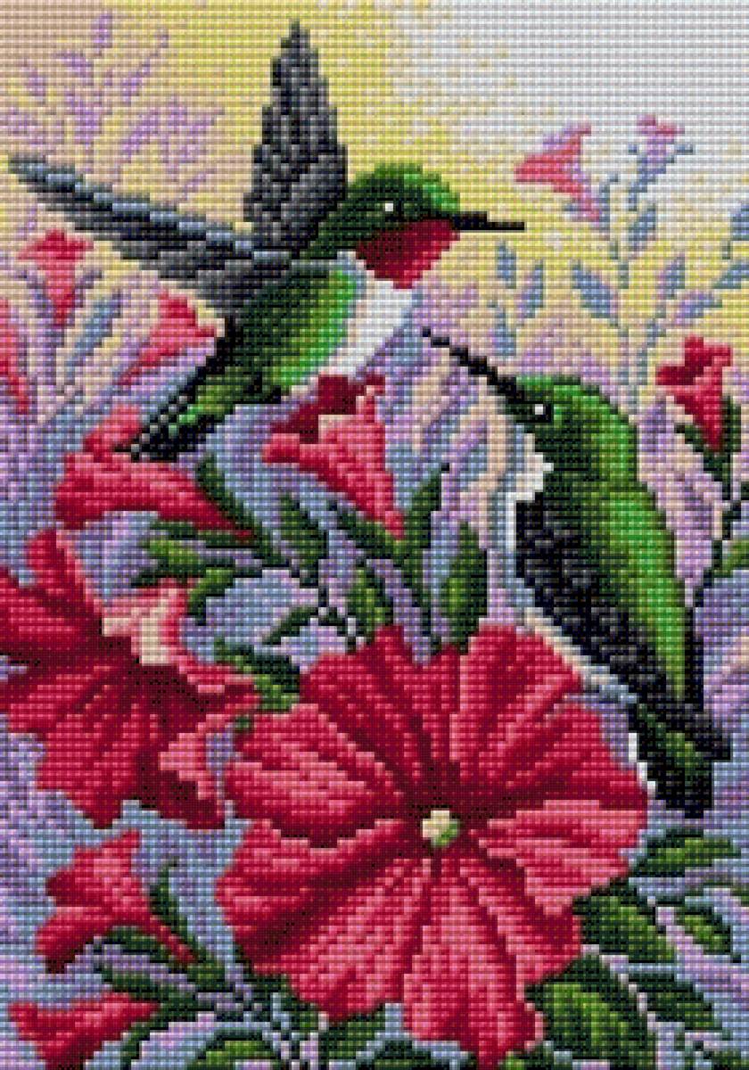 Colibri - alma de colibrí - предпросмотр