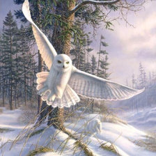 Схема вышивки «Джеймс Мегер. Полярная сова»