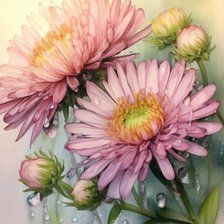 Схема вышивки «Астры»