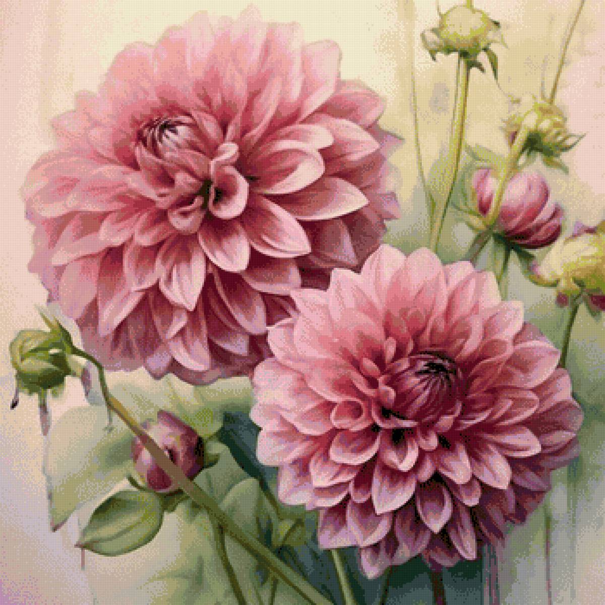 Георгины - предпросмотр