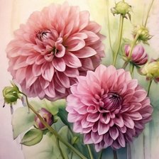 Схема вышивки «Георгины»