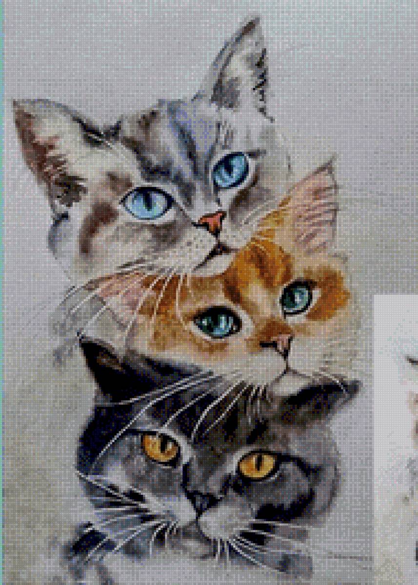 Cats - cats - предпросмотр