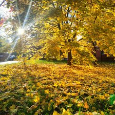 Схема вышивки «Осень в Перово»