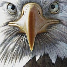 Схема вышивки «№2815069»