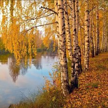 Осенний вечер