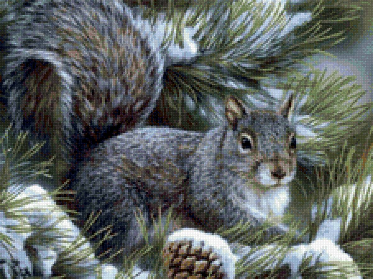 Белочка - предпросмотр