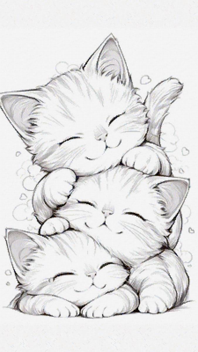 Котята - предпросмотр