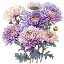 Схема вышивки «Хризантемы»