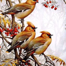 Схема вышивки «№2816294»