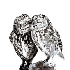 Схема вышивки «совы2»