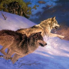 Схема вышивки «№2816524»