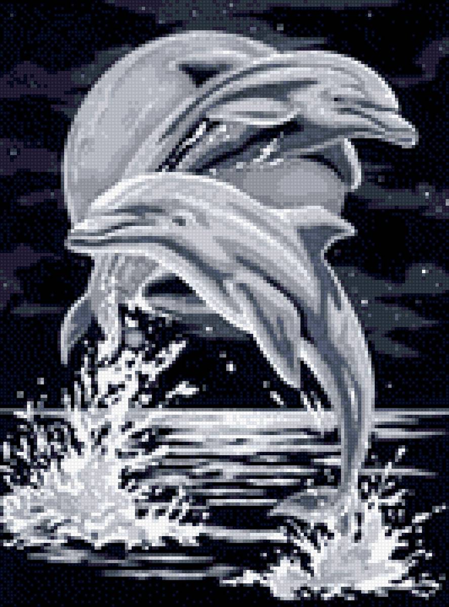 Дельфины при луне - предпросмотр