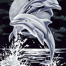 Дельфины при луне