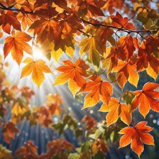 Схема вышивки «Осень»