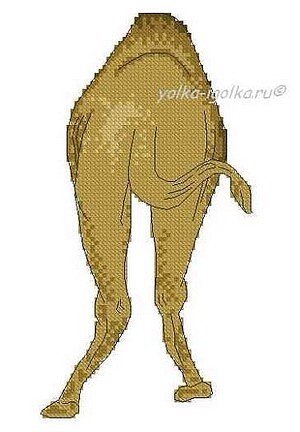 Верблюд - животные - оригинал