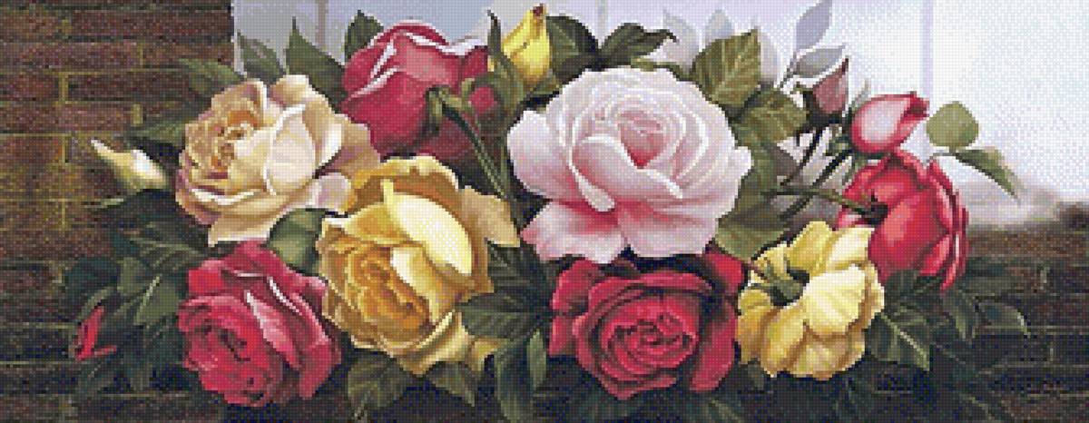 ruže, krásne - предпросмотр