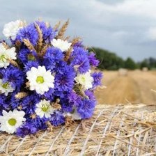 Схема вышивки «Цветы»