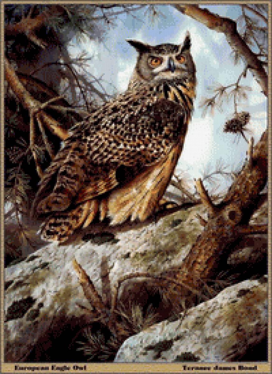 №2818114 - предпросмотр