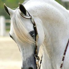 Схема вышивки «№2818501»