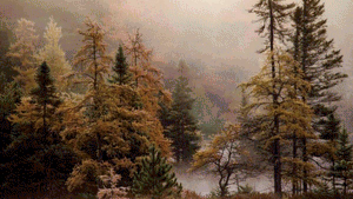 Тайга туманная - предпросмотр