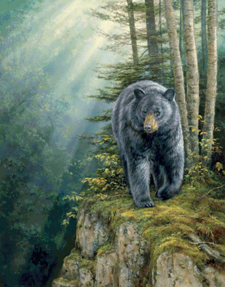 Гималайский медведь - художники - предпросмотр