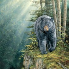 Схема вышивки «Гималайский медведь»