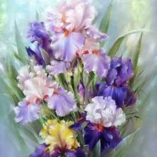 ирисы