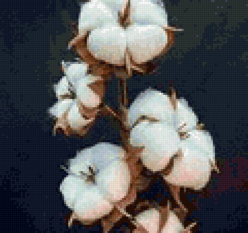 ветка хлопка - ветка хлопка - предпросмотр